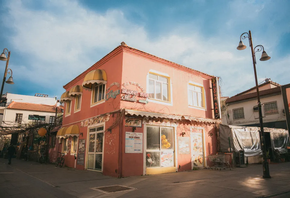 South Lebanon — mold removal